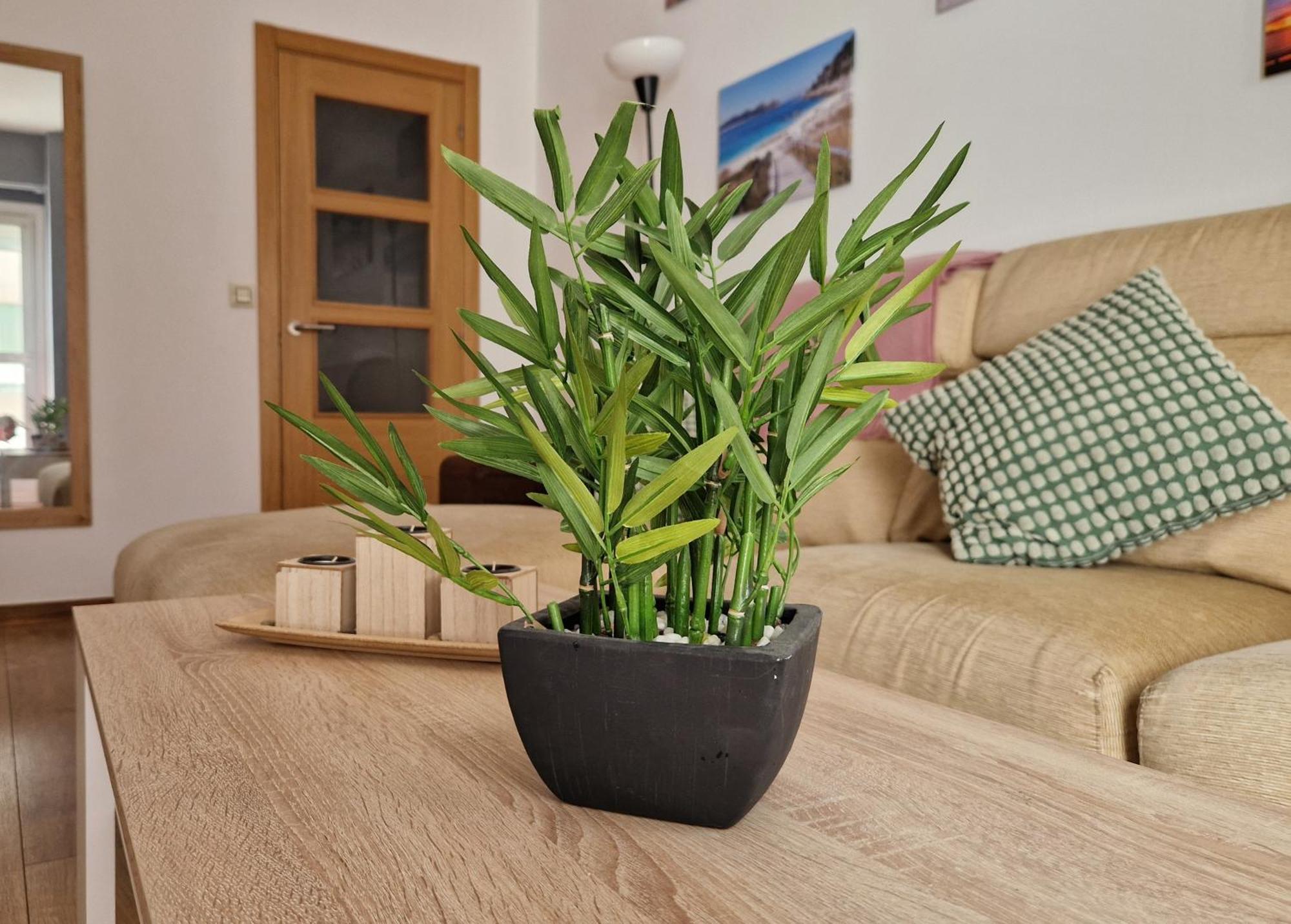 Apartamento Playa Bouzas - Vigo - Parking Free 外观 照片